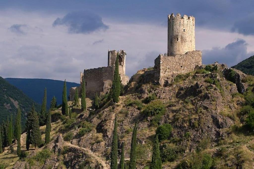 Maison Sur Les Hauteurs De Carcassonne Eksteriør billede